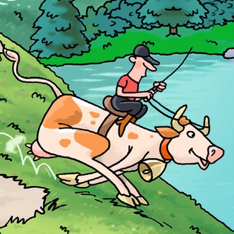 Puzzle 1000 pièces Haye