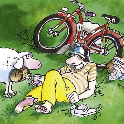 Puzzle course cycliste