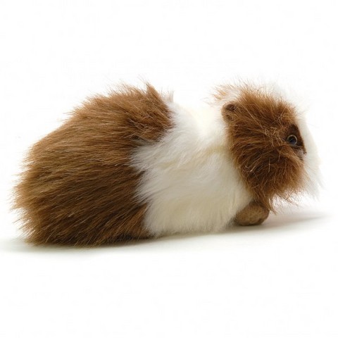 Cobaye roux,peluche aima cobaye roux