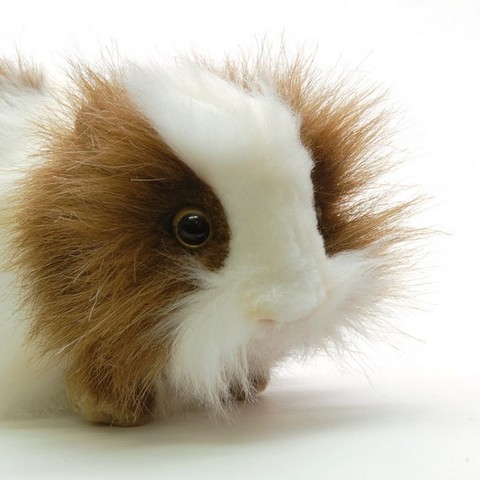 Cobaye roux,peluche aima cobaye roux