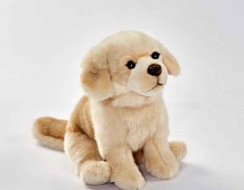 Peluche Golden