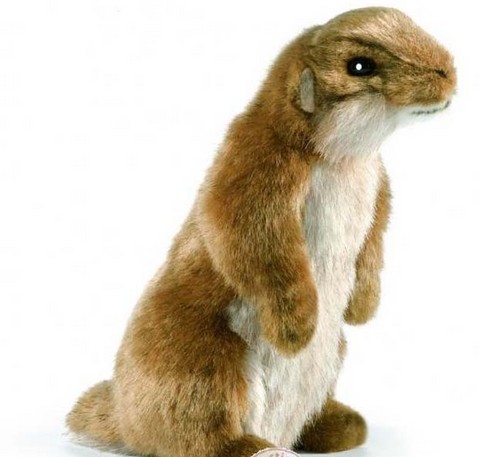 Peluche chien de prairie ,peluche anima