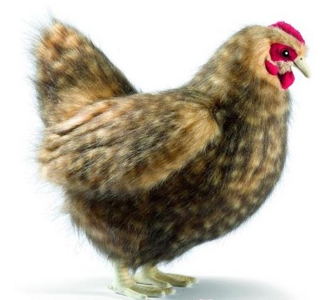 Peluche poule ,peluche anima