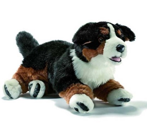 Peluche Bouvier Bernois