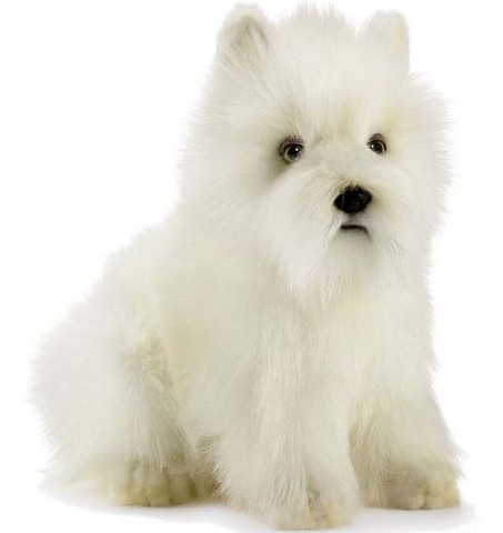 Peluche chien Westie ,peluche anima