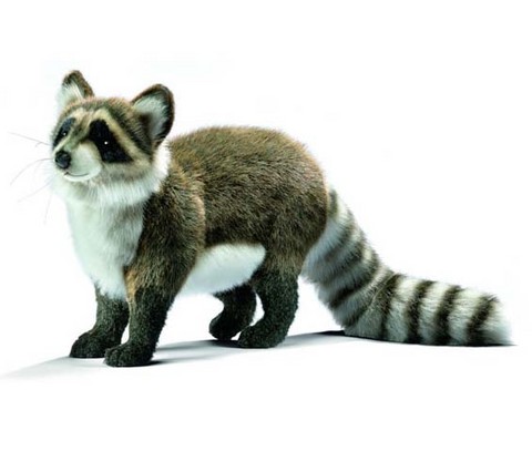 Peluche Raton laveur,peluche anima