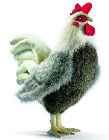 Peluche coq ,peluche anima